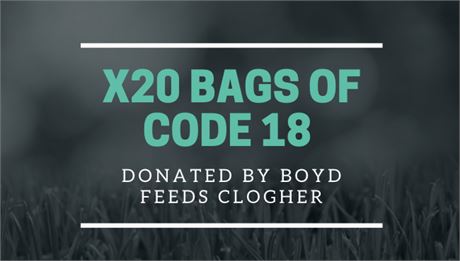 X20 Bags of Code 18